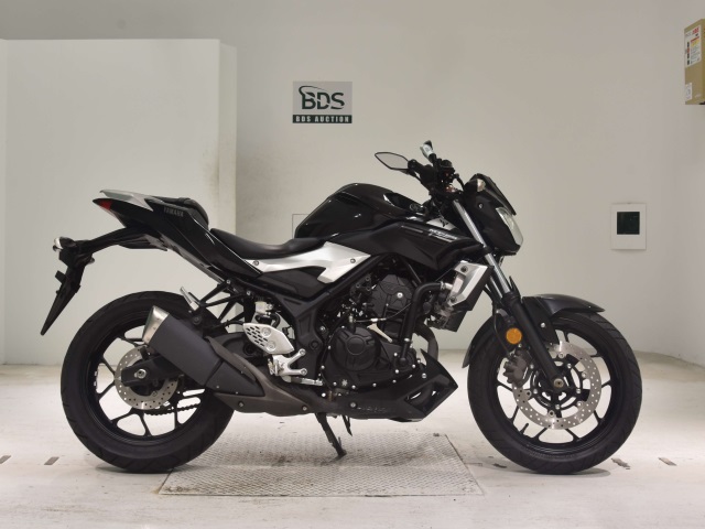 Yamaha MT-25 2016