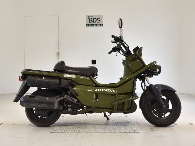 Honda PS250 BIG RUCKUS 2006