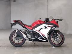 Kawasaki NINJA250 2013