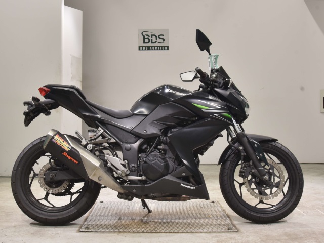 Kawasaki Z250 2013