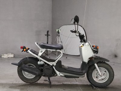 Honda ZOOMER 2002