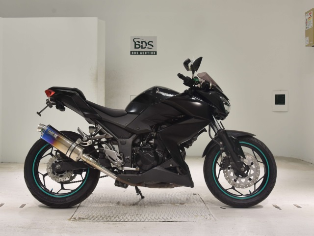 Kawasaki Z250 2013