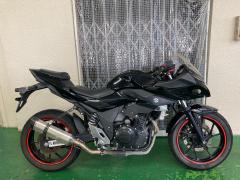 Suzuki GSX250R