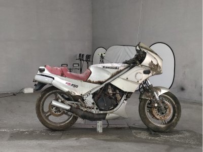 Kawasaki KR250