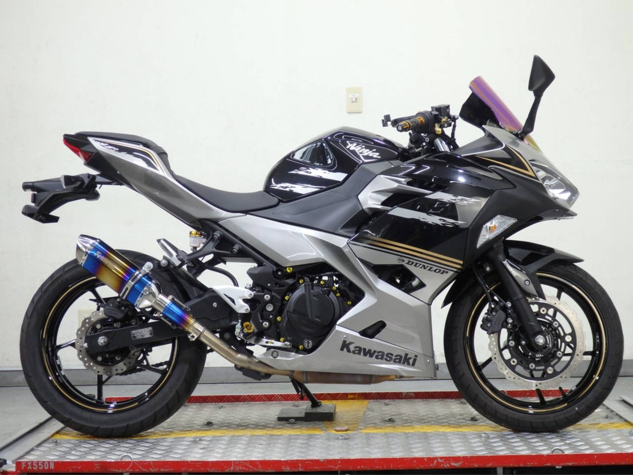 Kawasaki NINJA250 2019