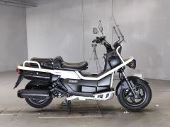Honda PS250 BIG RUCKUS 2004