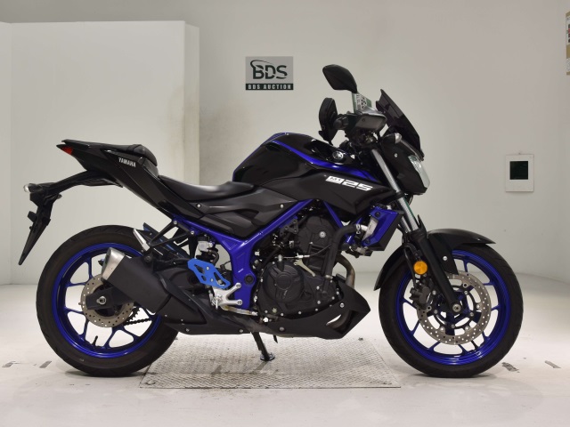 Yamaha MT-25 2018