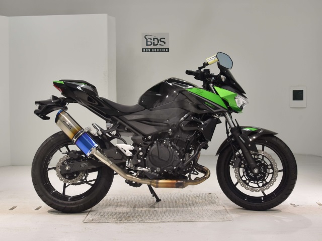 Kawasaki Z250 2023