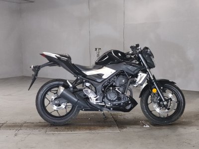 Yamaha MT-25 2016