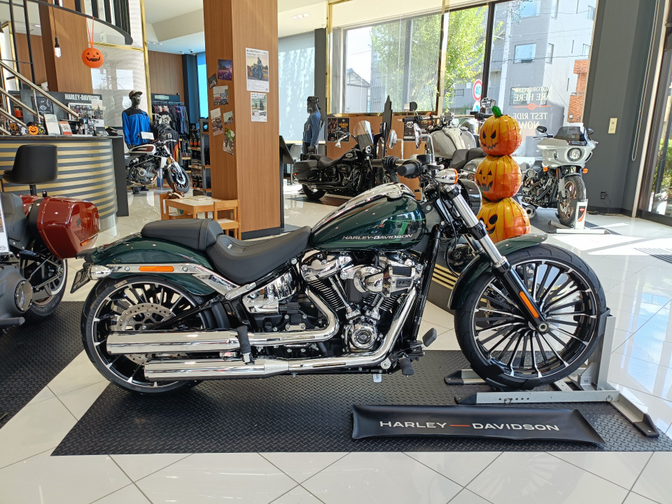 HD BREAKOUT FXBR1750 2025
