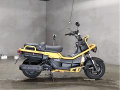 Honda PS250 BIG RUCKUS 2004