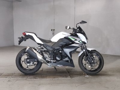 Kawasaki Z250 2013