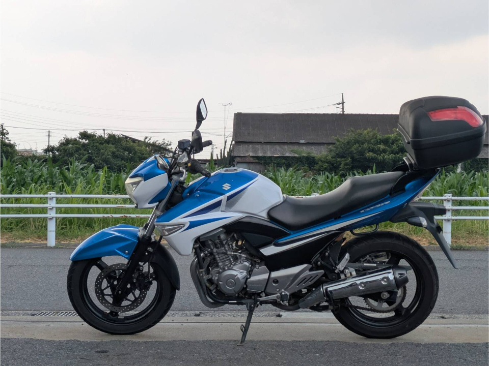 Suzuki GSR250