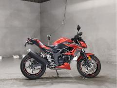 Kawasaki Z250SL 2015