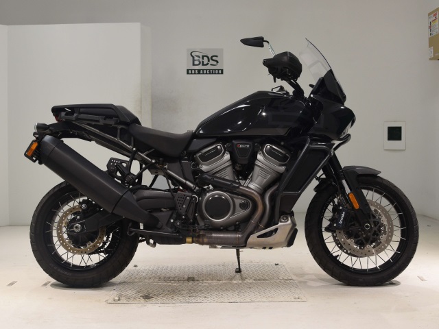 HD PAN AMERICA1250 S 2022