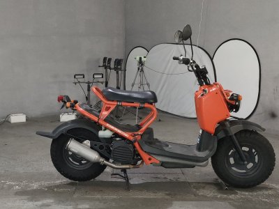 Honda ZOOMER 2001