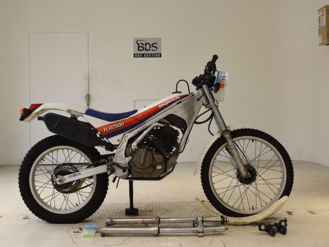 Honda TLR250R 1986