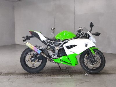 Kawasaki NINJA250 2015