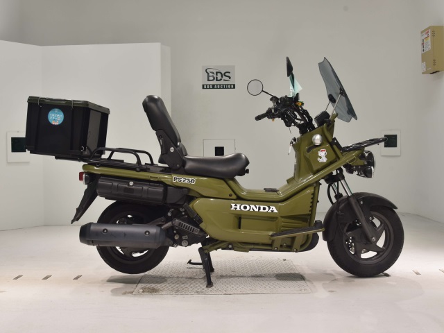 Honda PS250 BIG RUCKUS 2006