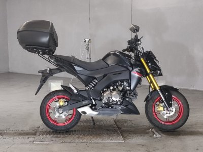 Kawasaki Z125 PRO 2021