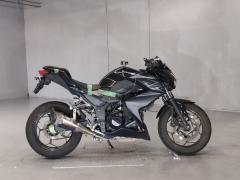 Kawasaki Z250 2016