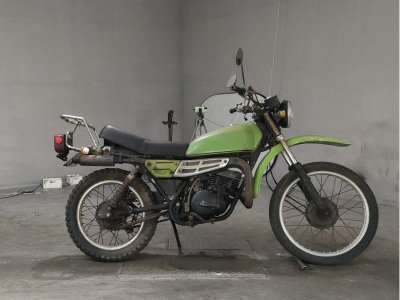 Suzuki TS250