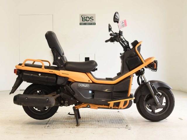 Honda PS250 BIG RUCKUS 2004