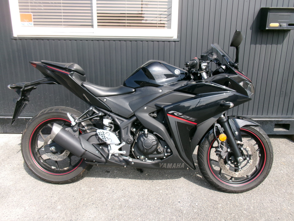 Yamaha YZF-R25