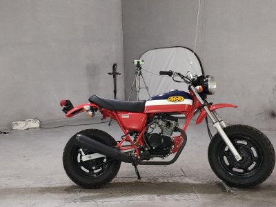 Honda APE50 2002