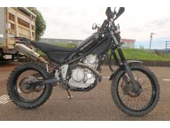 Yamaha TRICKER 2005