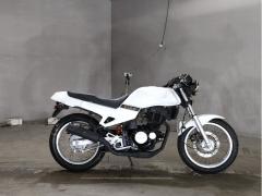 Suzuki NZ250