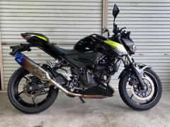 Kawasaki Z250 2022