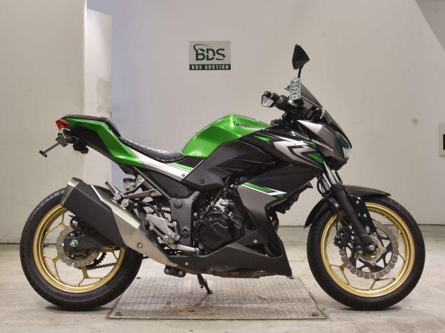 Kawasaki Z250A 2017