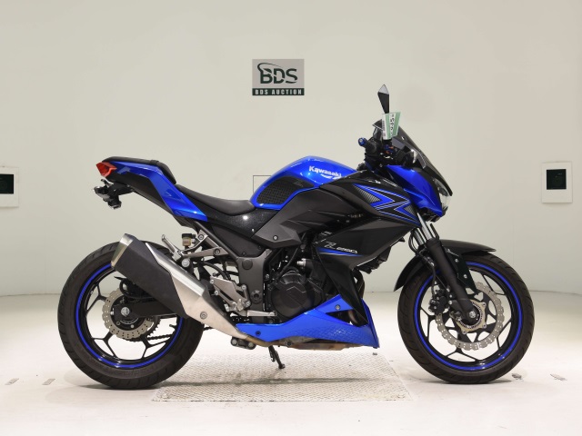 Kawasaki Z250A 2015