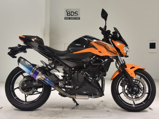 Kawasaki Z250 2020