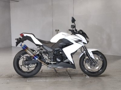 Kawasaki Z250 2013