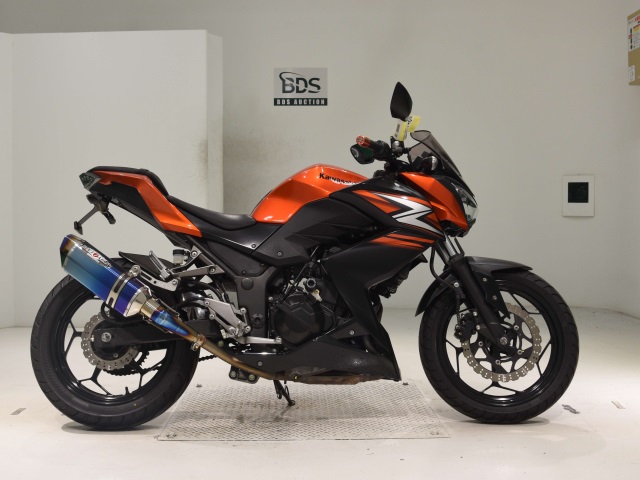 Kawasaki Z250 2014