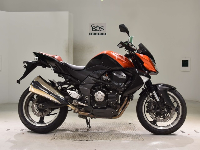 Kawasaki Z1000 2009