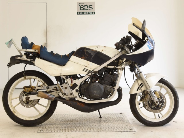 Suzuki RG250 GAMMA