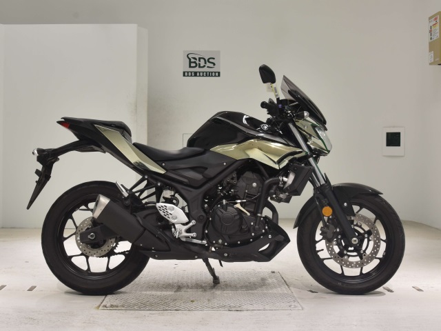 Yamaha MT-25 2018