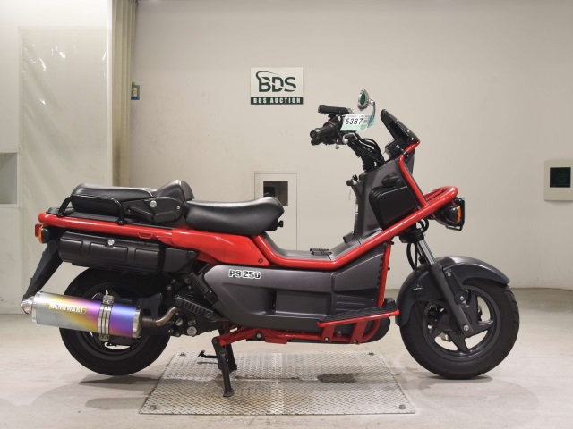 Honda PS250 BIG RUCKUS 2004