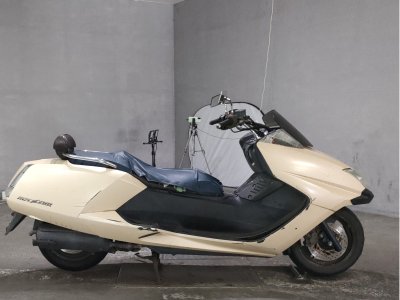 Yamaha MAGZAM 2006
