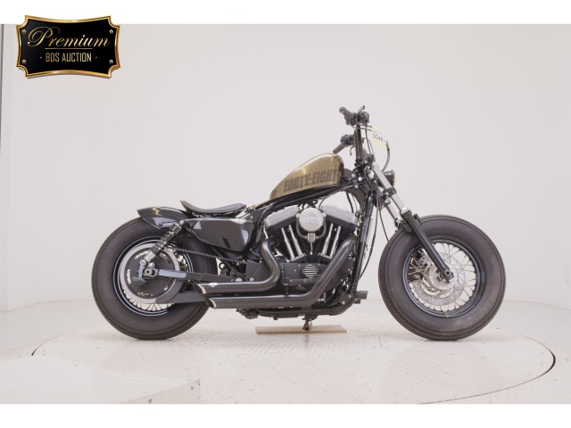 HD SPORTSTER FORTY-EIGHT XL1200X 2013