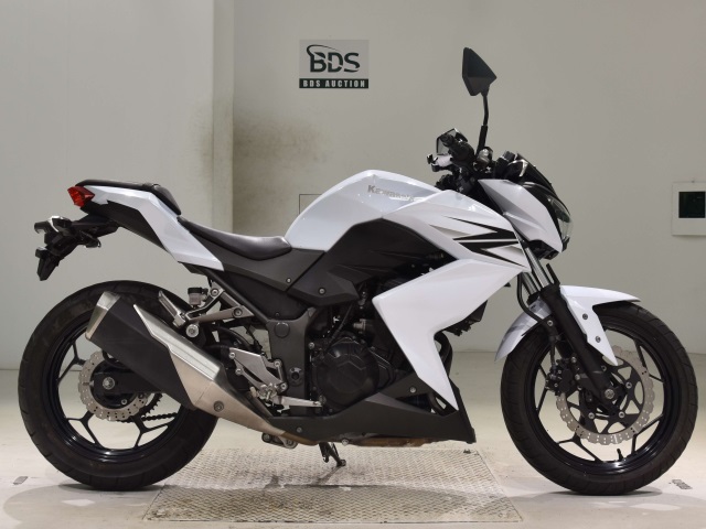 Kawasaki Z250 2013