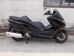Honda FORZA Z 2011