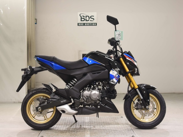 Kawasaki Z125 PRO 2017