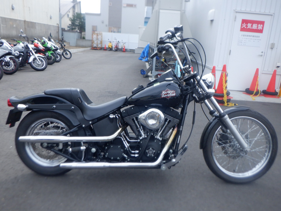 HD NIGHT TRAIN FXSTB1450 2001