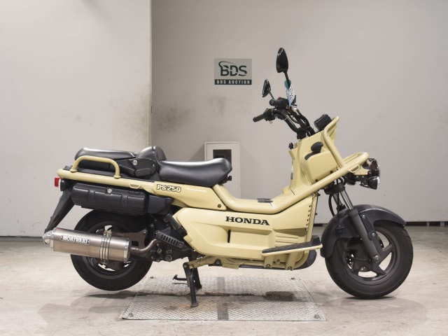 Honda PS250 BIG RUCKUS 2006