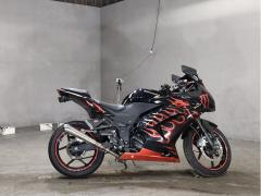 Kawasaki NINJA250R 2011