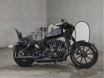 HD IRON XL1200NS 2020